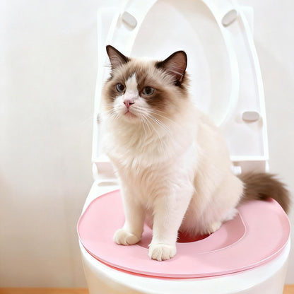 Cat Toilet Training Kit